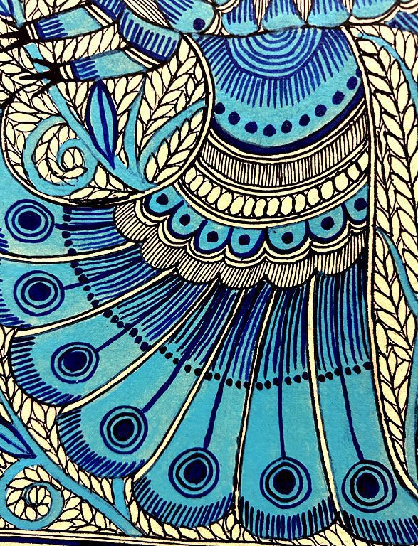 Azure Peacock Splendor 4