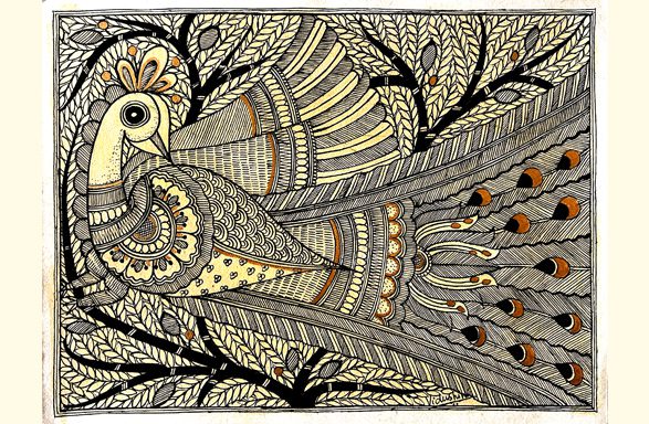 Peacock in Ink & Gold Madhubani Peacock Line Art by Vidushini Prasad